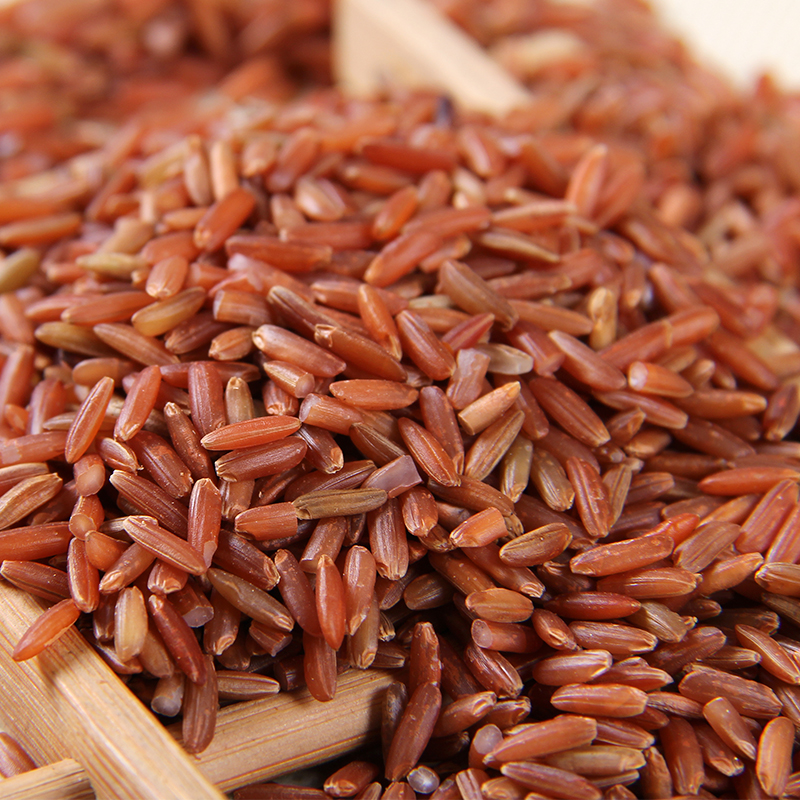 红米 营养丰富的老郭家铺子月子红稻米