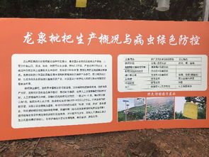 技术推广服务中心 驱动创新与发展的关键力量